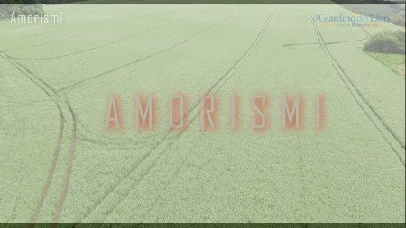 Amorismi - Giardino dei Libri - Alla Ricerca dell'Anima - 450x253 Amorismi-Giardino-dei-Libri-Alla-Ricerca-dellAnima-450x253-1